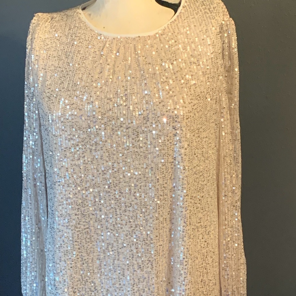 Mania Sliver Sparkly Sequin Long Sleeve Dress Size 12